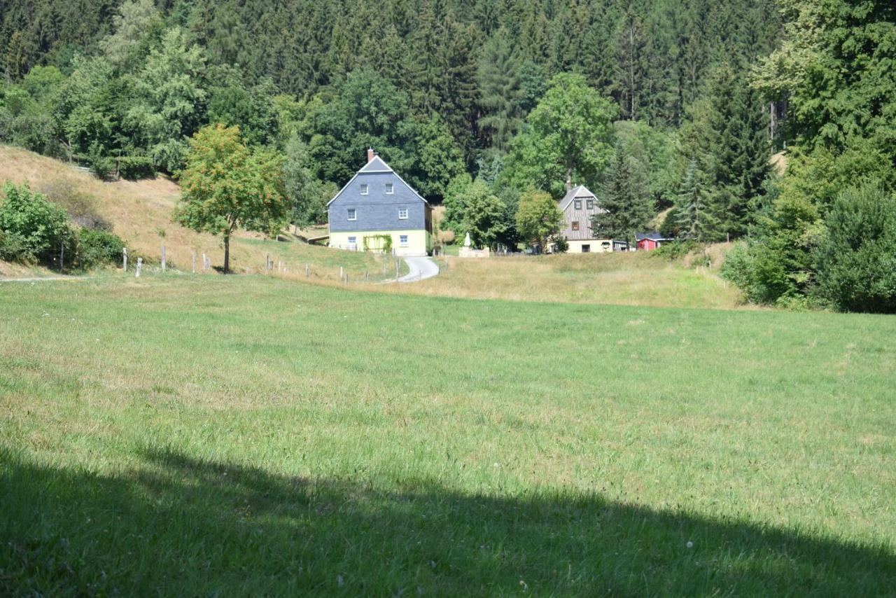 Ferienwohnung Waldmuehle Saupsdorf エクステリア 写真
